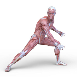 男性放置 figure3d Cg 渲染的男性奠定图