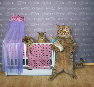 小猫床图片