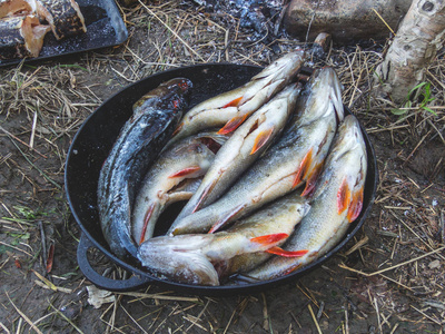 天然火附近铸铁锅上的鲜鱼