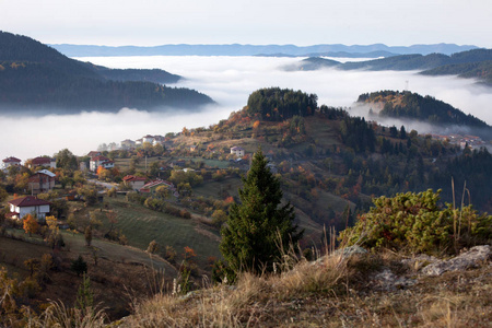 秋天在 Rhodope 山, 保加利亚。清晨。山上布满了雾气。