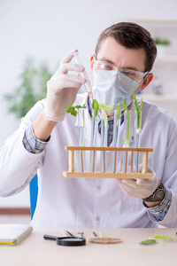 在植物实验室工作的男性生物化学家