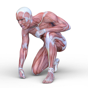 男性放置 figure3d Cg 渲染的男性奠定图