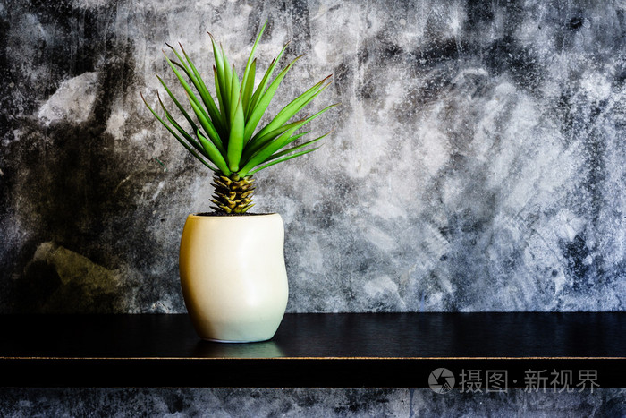 附近的水泥墙 乡村家庭室内灯光装饰绿色植物照片 正版商用图片0qvcdv 摄图新视界