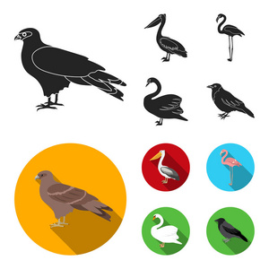 , 鹈鹕, 火烈鸟, 天鹅。鸟集合图标在黑色, 平面式矢量符号股票插画网站