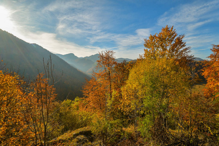 与多彩森林山秋天风景