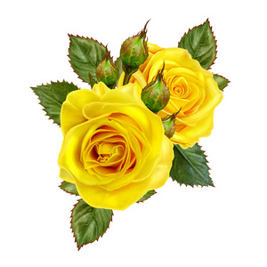 花组成。美丽的花束，黄玫瑰，绿色的叶 芽。白色背景上孤立