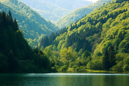 多彩岸边的山林湖边在早晨的阳光