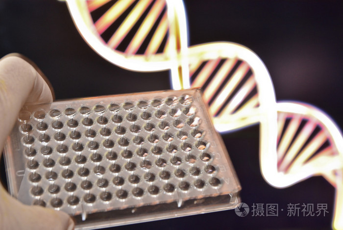 Dna 在遗传实验室测试