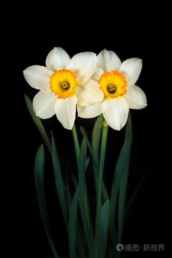 682_1023竖版 竖屏