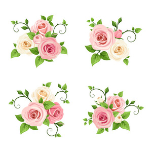 向量集的粉红色和白色的玫瑰花枝