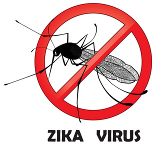 没有 zika 蚊蠓虫矢量符号