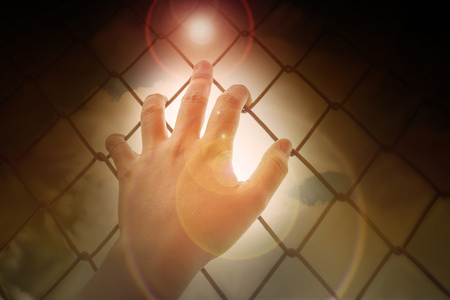 妇女手抓铁栏树与广阔的蓝色晴朗的天空 b照片