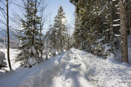 在小路上冰与雪的冬天的场景