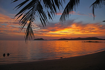 放松美丽的假期椰子树美丽的日落在麦岛传统泰国