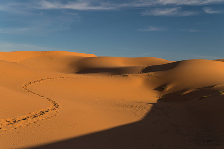 景区附近梅尔祖加在摩洛哥沙漠