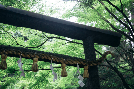 日本木门用叶子树影片复古样式
