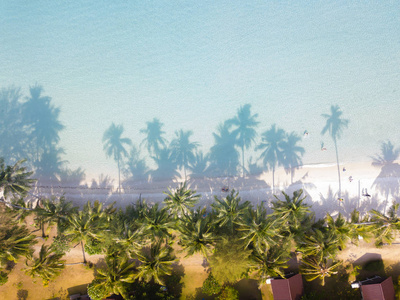 鸟瞰热带白沙海滩在日落期间与棕榈树阴影和游客在海滩上享受
