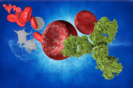 抗体生物学图片