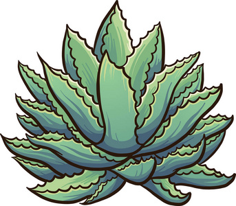 龙舌兰植物图片-龙舌兰植物素材-龙舌兰植物插画-摄图新视界