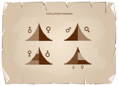 人口金字塔图细节取决于年龄和性别