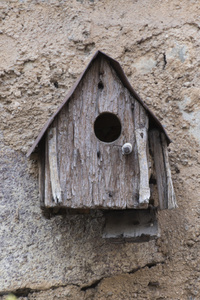 房子墙上的鸟屋