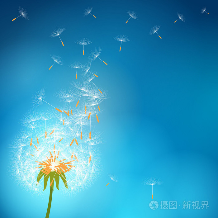 蒲公英带着种子随风飘散