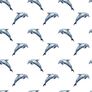 水彩的无缝模式海豚