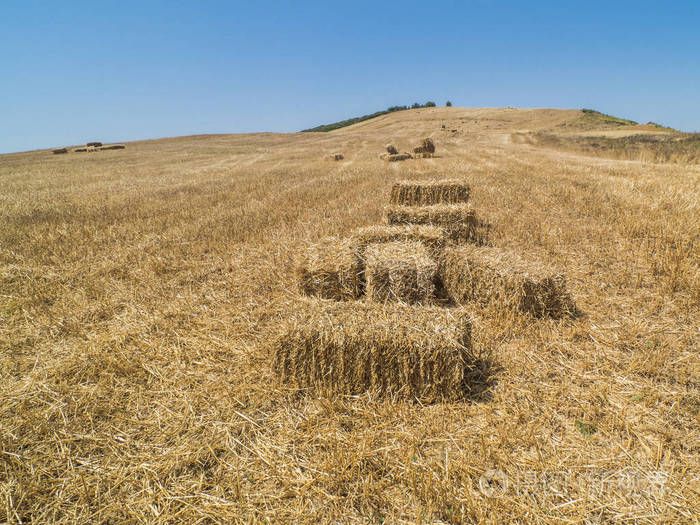 田野里有一捆干草或稻草, 乡村在 sunnu 的夏天收获的时候。