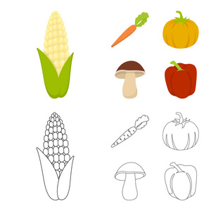 玉米, 维生素胡萝卜, 顶部, 南瓜, 森林蘑菇。蔬菜集合图标在卡通, 轮廓风格矢量符号股票插画网站