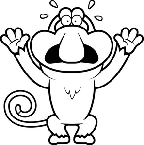 卡通长鼻恐慌狒狒雄性猴子龙须猴的雄性坐在婆罗洲岛野生绿色热带雨林