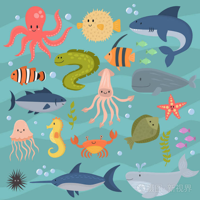 海上生活水下动物可爱海洋卡通鱼水族馆热带水生矢量图插画-正版商用