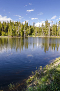怀俄明州黄石国家公园的草原湖泊和河流