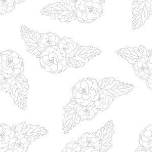 四季秋海棠插画 四季秋海棠手绘 四季秋海棠卡通图 摄图新视界