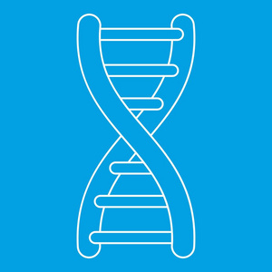 Dna 图标，大纲样式