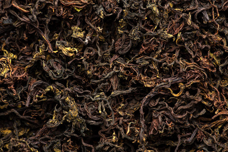 茶树柳的干燥与发酵