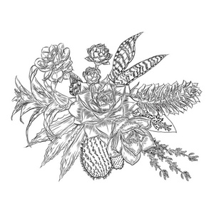 肉质植物仙人掌绿色植物植物画的组成。黑白色 handdrawn 花束。纹身的概念。着色书页。所有的花是可编辑的分开。向