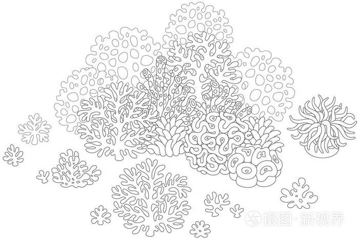 热带珊瑚在礁石上插画-正版商用图片0qx6b7-摄图新视界