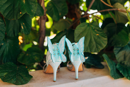 婚礼鞋新娘在猕猴桃树的树叶