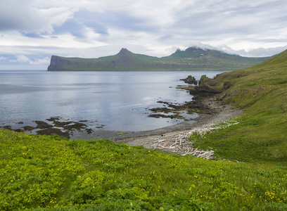 风景秀丽的 Hornbjarg 峭壁在西部峡湾, 遥远的自然保护区 Hornstrandir 在冰岛, 与茂盛的绿色草草甸, 黄