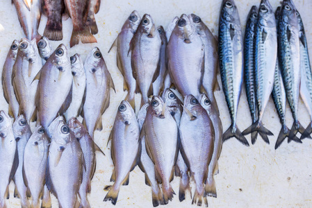 摩洛哥街头集市上的鲜鱼