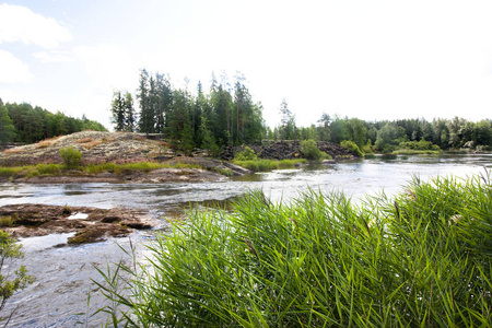 芬兰 Kymijoki 河水域夏季景观