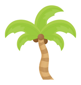 有叶子形状的热带树, 像一只手显示日期棕榈