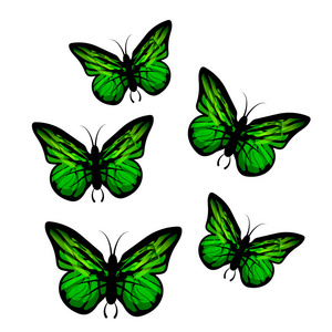 绿色艺术蝴蝶