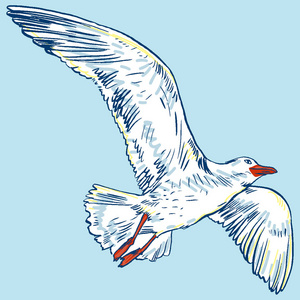 海鸥和海图片-海鸥和海素材-海鸥和海插画-摄图新视界