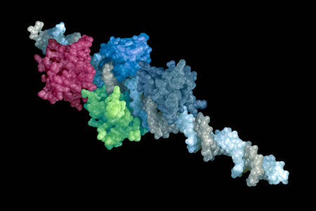 3d 插图中医学背景的 Dna 分子