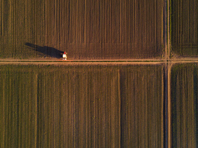 鸟瞰的拖拉机耕种的玉米玉米作物领域