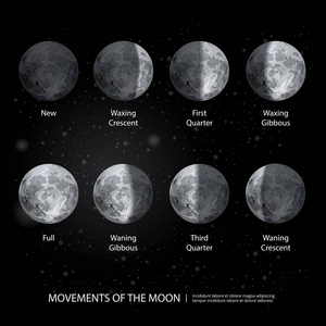 月亮阶段的运动现实向量图