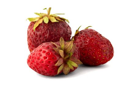 成熟可口的香草莓在乡村花园里生长