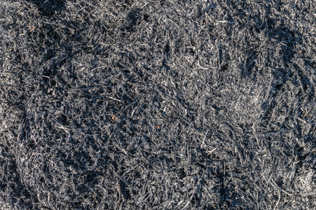 烧成灰的质地或背景照片