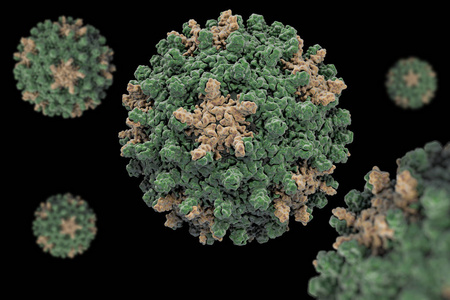 乙肝病毒。乙型肝炎病毒 Hbv Pdb 1qgt 的结构, 属 Orthohepadnavirus 属的一种, 属 He